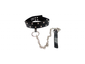 Dog Collar & Leash