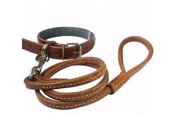 Dog Collar & Leash