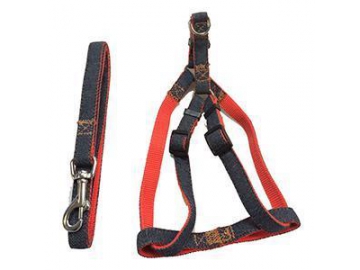 Dog Collar & Leash