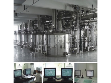 Milk Powder Spray Dryer Plant