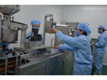 Solid Dosage Granulating And Drying Line