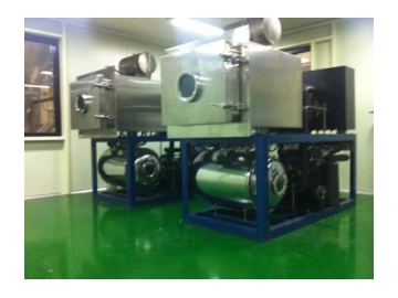 Vacuum Freeze Dryer