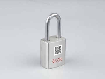 DS918-2A Electromechanical Lock