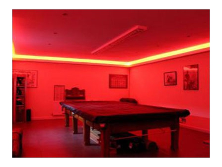 SMD5050 LED Strip Lights (14.4W)