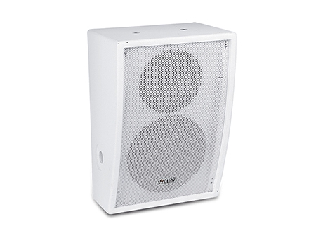 Pro Loudspeaker