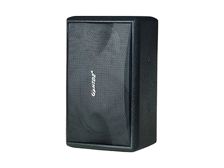 Pro Loudspeaker