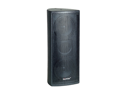 Pro Loudspeaker