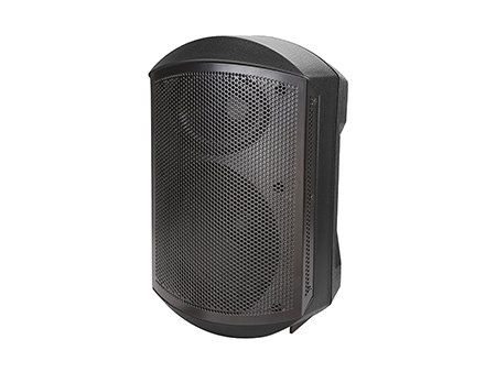 Pro Loudspeaker