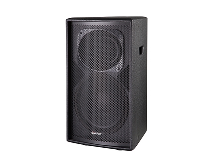 Pro Loudspeaker