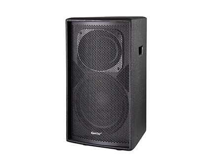 Pro Loudspeaker