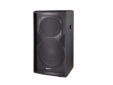 Pro Loudspeaker