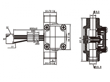 Water Flow Switch