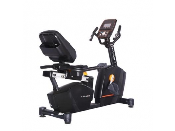 Recumbent Exercise Bike