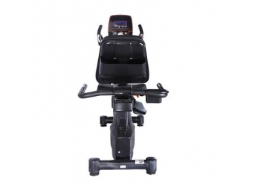 Recumbent Exercise Bike