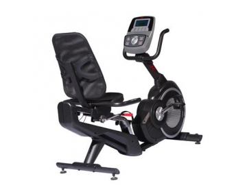 Recumbent Exercise Bike