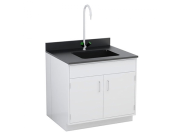 Laboratory Sink Station