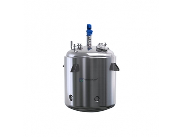 Stainless Steel Reactor with Agitator