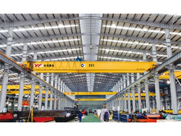 Double Girder Overhead Crane