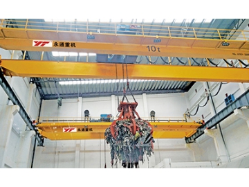 Automated Overhead Cranes (process crane)