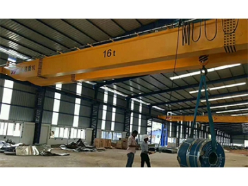 Double Girder Overhead Crane