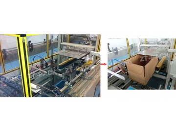 Carton Packaging Line