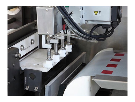 Automatic Oral Thin Film Packaging Machine, KFM-230