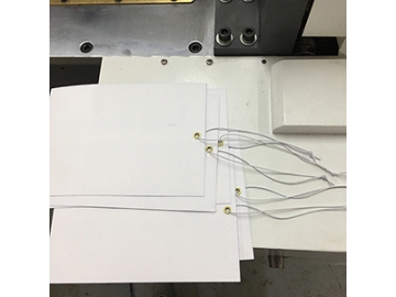 Automatic Airline Tag Elastic Stringing Machine (for Large Size Tags), TL-LY8B