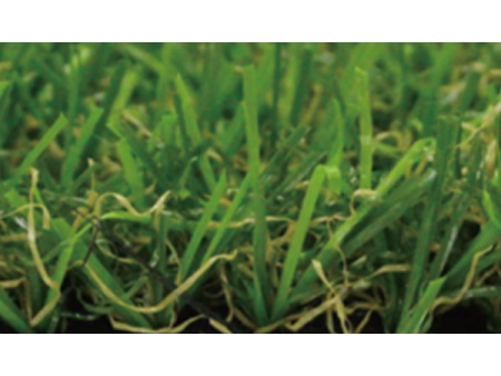 Artificial Grass for Landscape