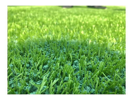 WFIG/T Series Artificial Grass Infill