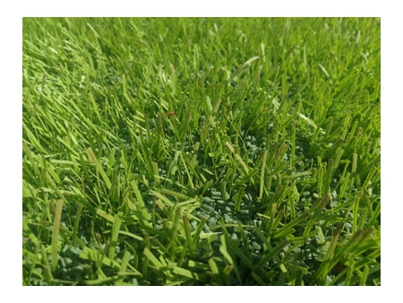 WFIG/T Series Artificial Grass Infill