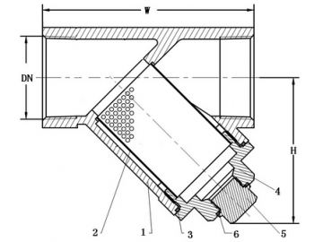 Stainless Steel Y Strainer