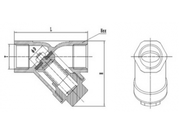 Stainless Steel Y-Spring Check Valve