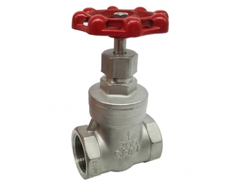 316 Stainless Steel Gate Valve