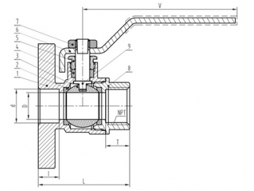 Full Port Ball Valve with Isolation Flange