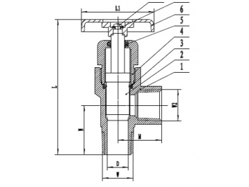 Forged Brass Truck Valve