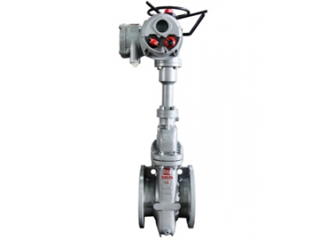 Parallel Slide Gate Valve