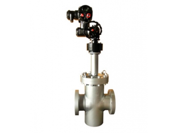 Parallel Slide Gate Valve