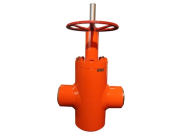 Forged Steel Gate Valve