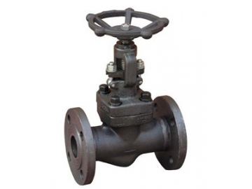 Globe Valve