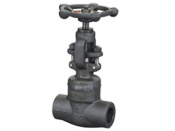 Globe Valve