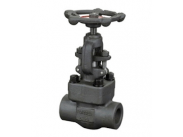 Globe Valve