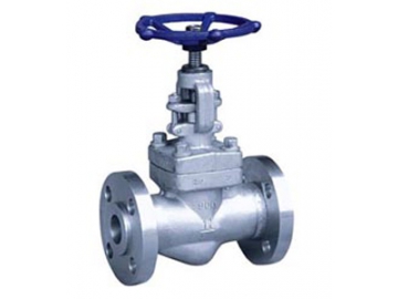 Globe Valve