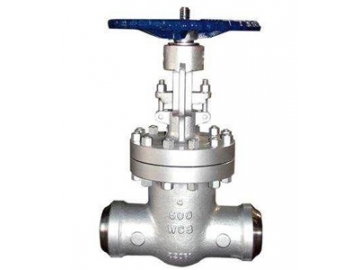 Globe Valve
