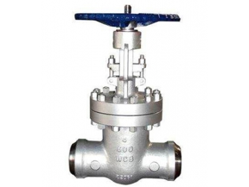 Globe Valve