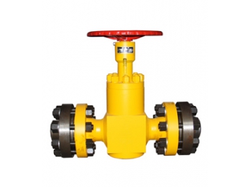 Balanced Throttle Globe Valve