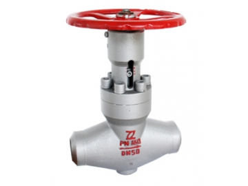 Balanced Throttle Globe Valve