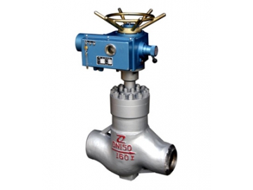 Balanced Throttle Globe Valve