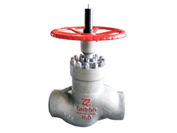 Balanced Throttle Globe Valve