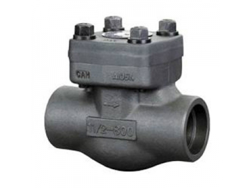 Swing Check Valve