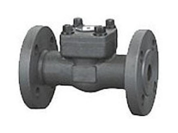 Swing Check Valve